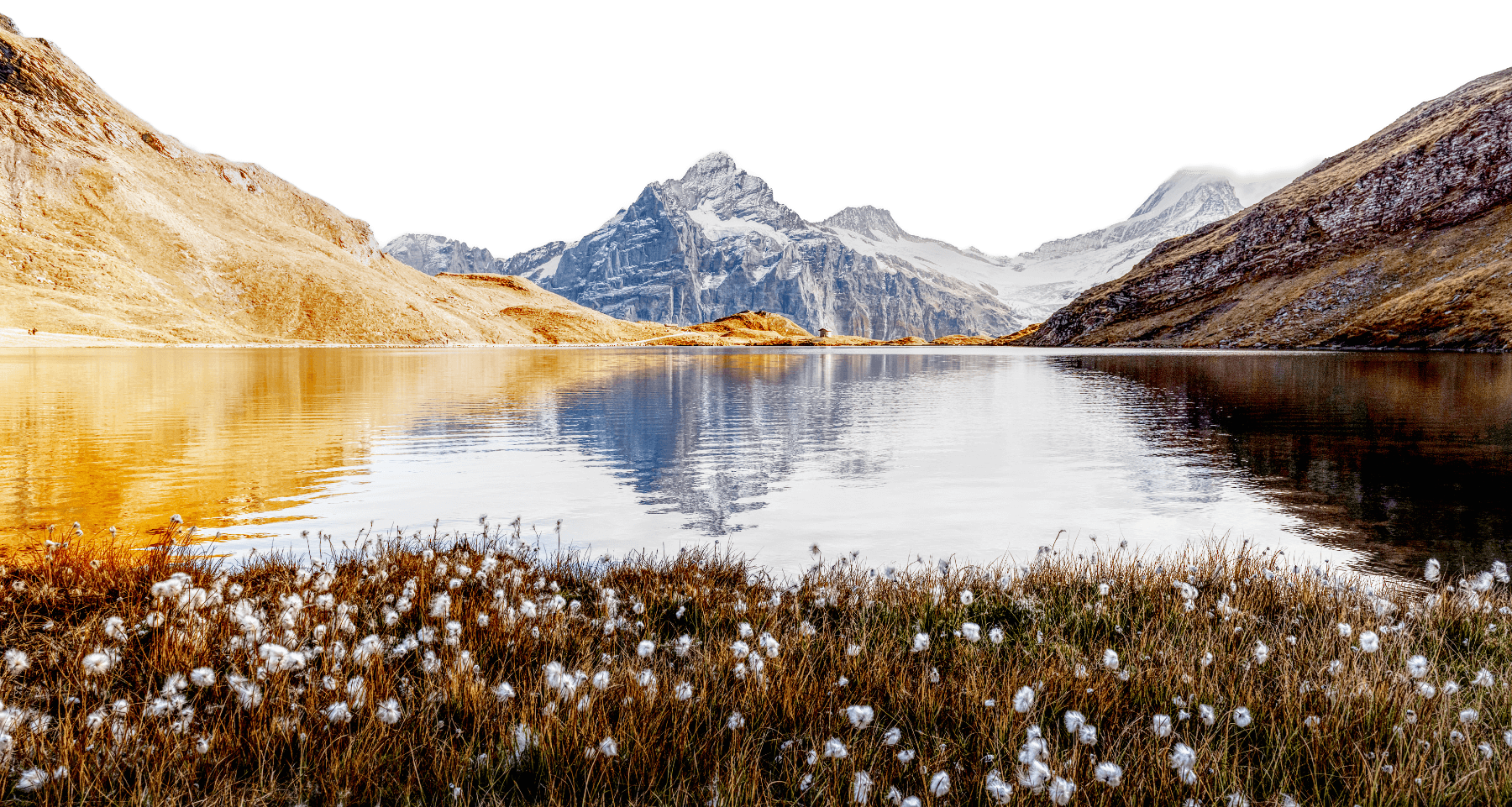 bachalpsee-lake-in-swiss-alps-mountains-2023-11-27-05-30-36-utc