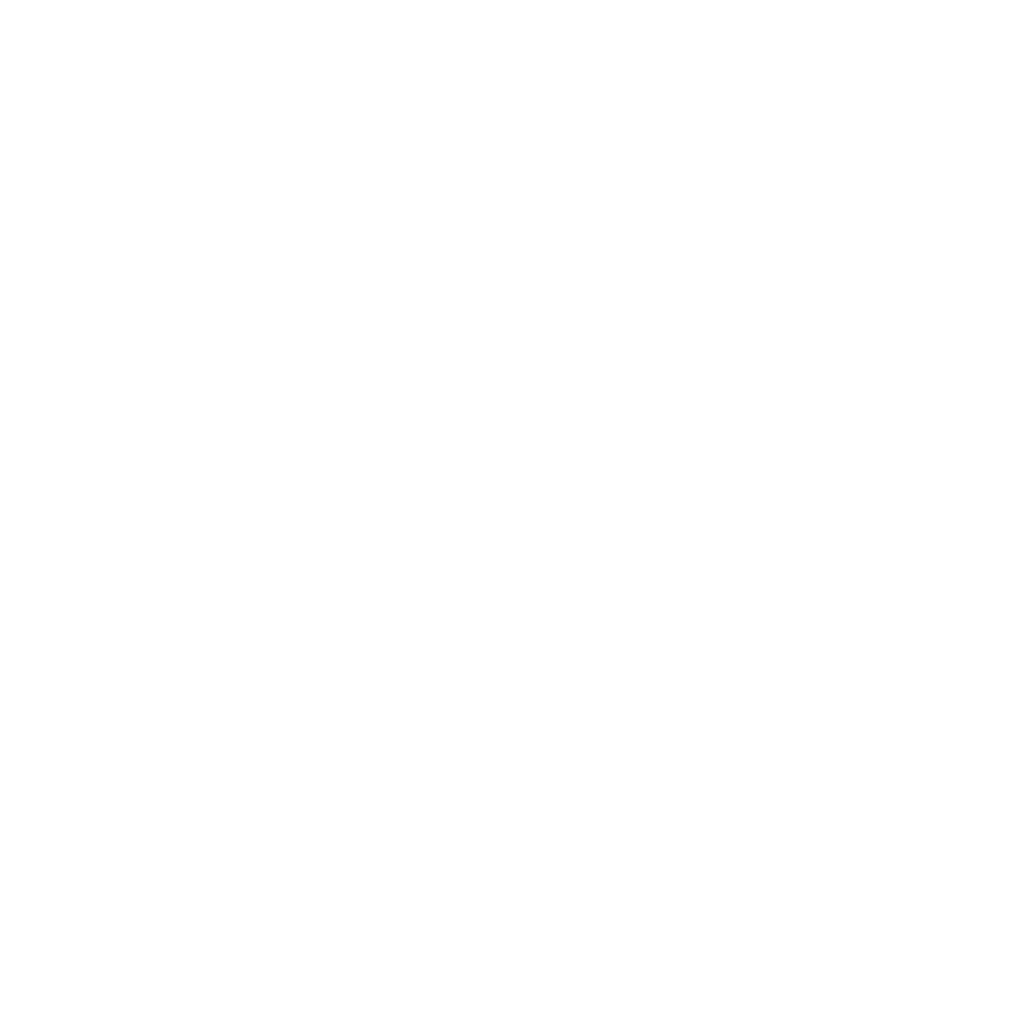 10 10